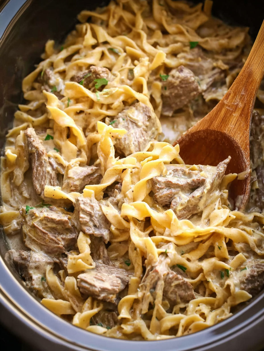 A crock pot filled with beef and noodles.